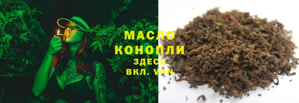индика Нягань