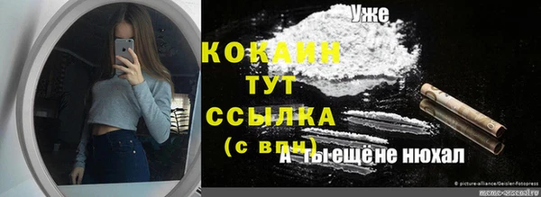 бошки Няндома