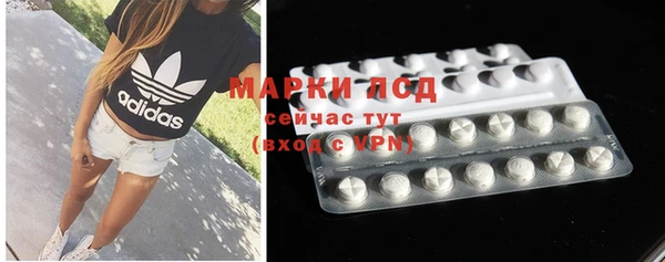 индика Нягань