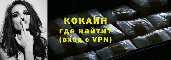 индика Нягань