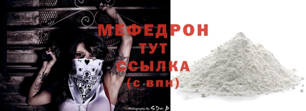 индика Нягань