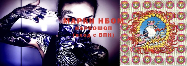 индика Нягань