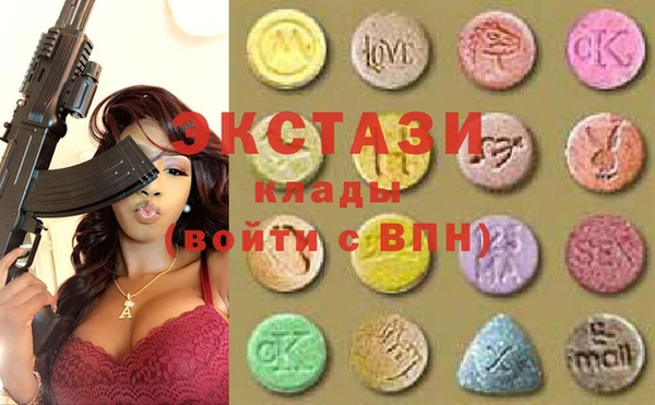 индика Нягань