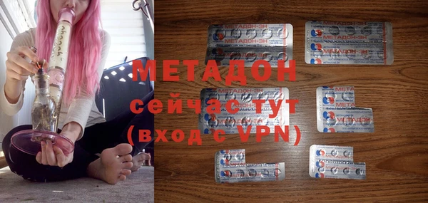индика Нягань