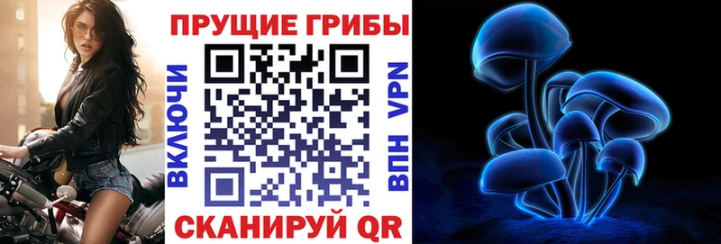 Галлюциногенные грибы мицелий  дарнет шоп  Пугачёв 